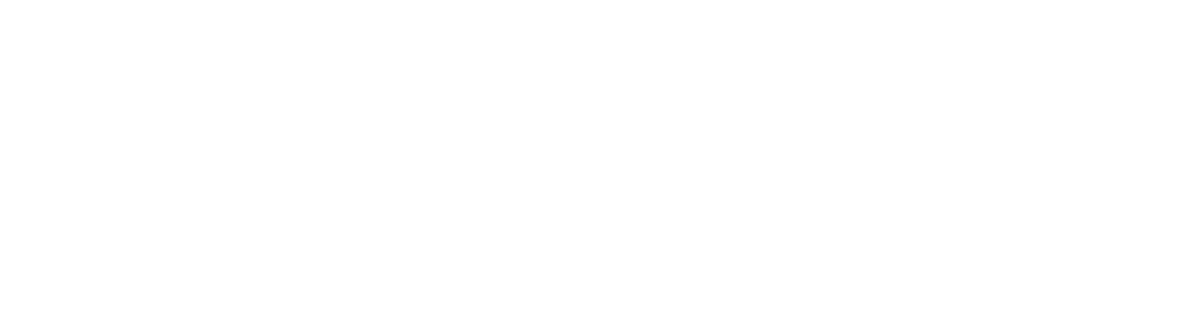 MegaCare Logo